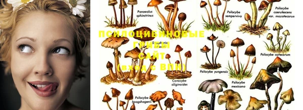 MDMA Алзамай