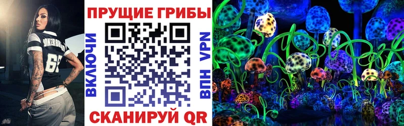 продажа наркотиков  Ардон  Псилоцибиновые грибы Cubensis 